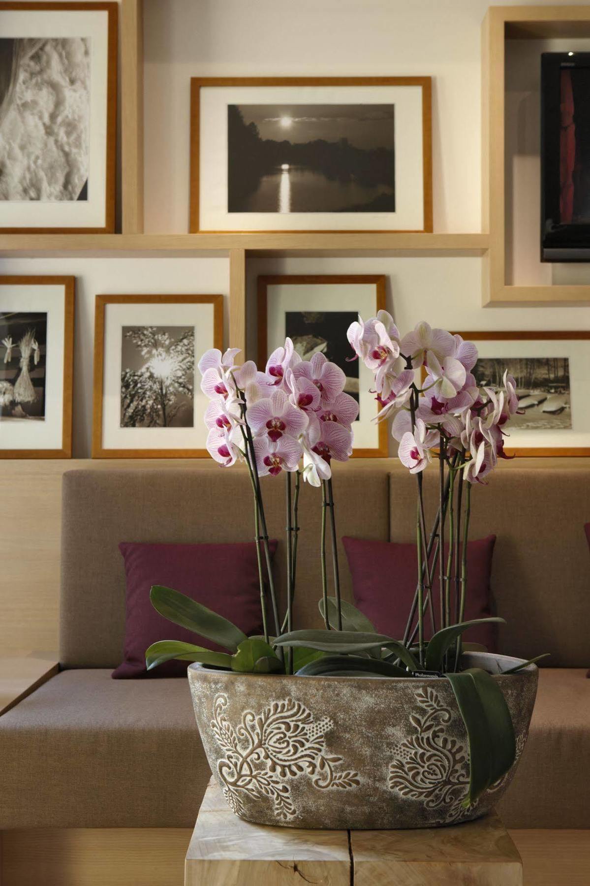 Logis Hotel Kur- Und Wellnesshaus Spree Balance Burg  Dış mekan fotoğraf
